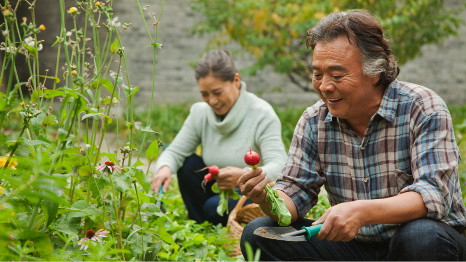 gardening tips