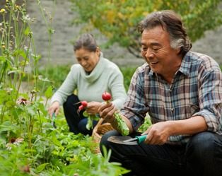 Tend to Your Bones When Tending the Garden